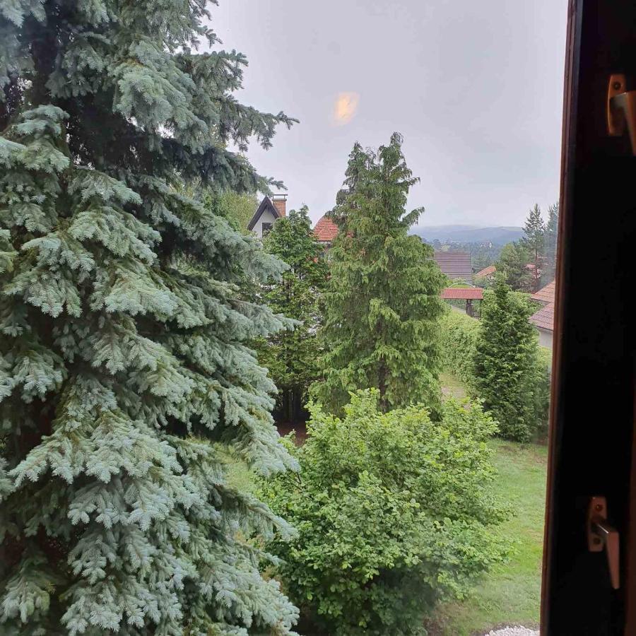 Planinska Kuca Sa Dvoristem Villa ซลาตีบอร์ ภายนอก รูปภาพ