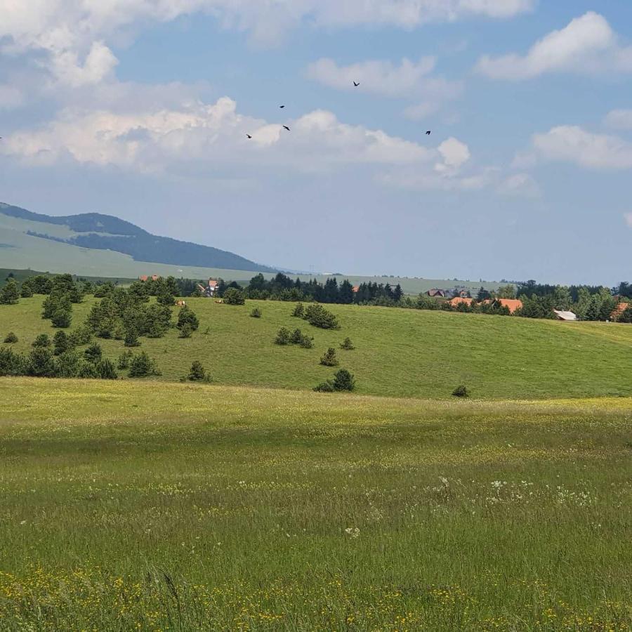 Planinska Kuca Sa Dvoristem Villa ซลาตีบอร์ ภายนอก รูปภาพ