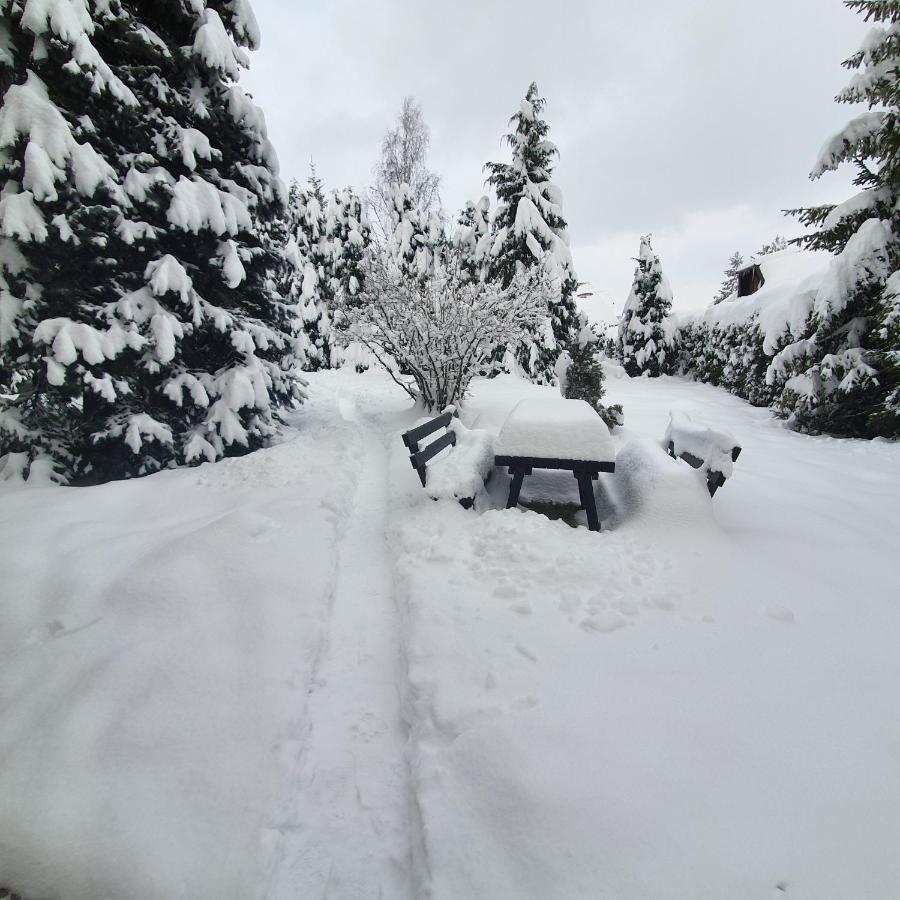 Planinska Kuca Sa Dvoristem Villa ซลาตีบอร์ ภายนอก รูปภาพ